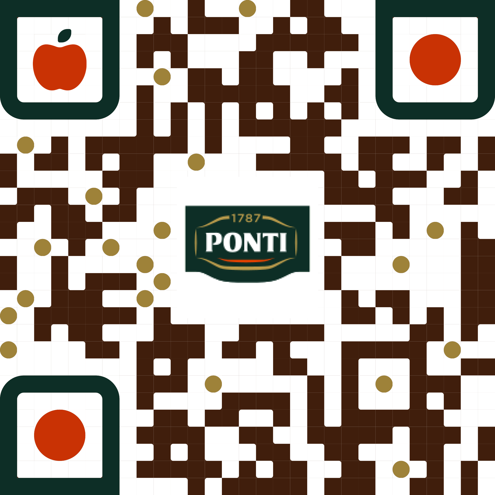 qr code web app ponti traceability